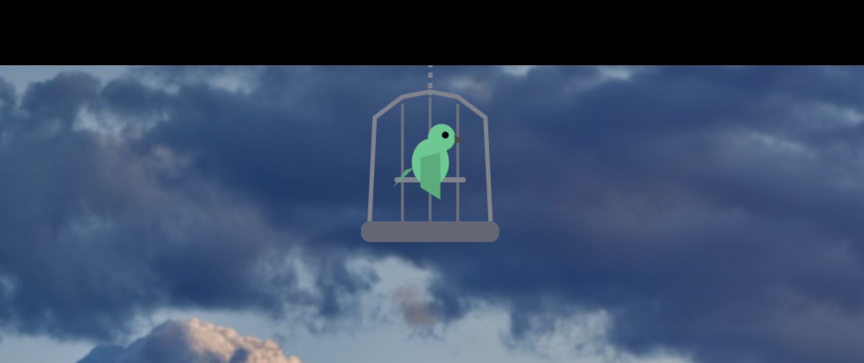 Parrot